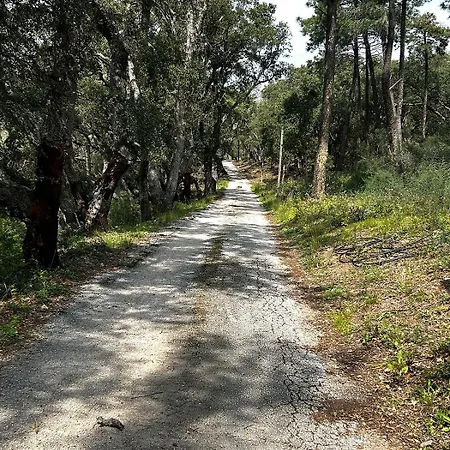 Pleine Nature 5pers - A2 Apartment Grimaud