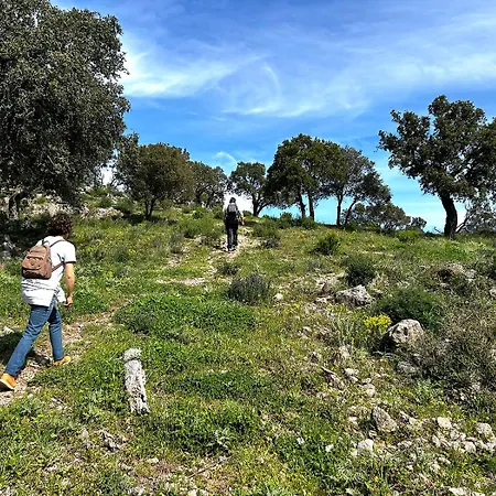 Pleine Nature 5pers - A2 *